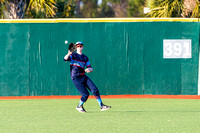 Myrtle_CF20196048