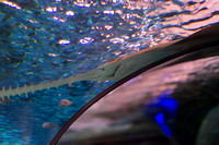 Toronto_20160322_4358