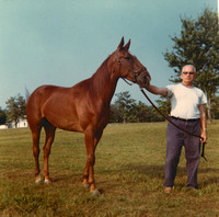 JoeHildebran_Horse