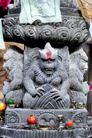 Animal Kingdom 2009