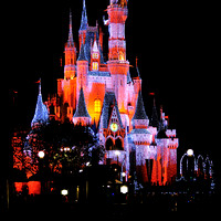 Magic Kingdom 2009