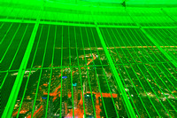 Toronto_20160320_3978